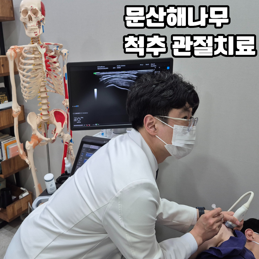 척추 관절 초음파 치료